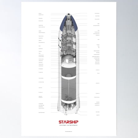 Spacex - Lunar Starship Cutaway Poster Wall Art, Modern Wall Decor, 8x12 UNFRAMED