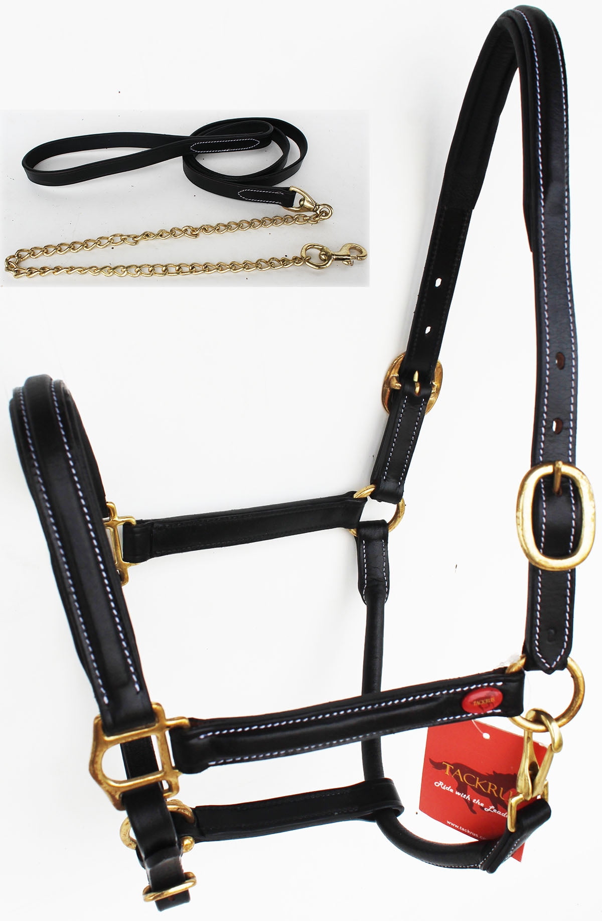 Horse English Western Padded Leather Cob Show Halter Chain Lead 803215C