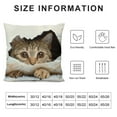 thumbnail image 5 of Shiartex  Super Soft Short Plush Square Decorative Throw Pillow Case Sofa Waist Cushion Cover Multi-Size, 5 of 5