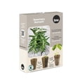 thumbnail image 1 of TASC Seed Plugs- Rosemary (6/PKG), 1 of 1