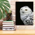thumbnail image 6 of Epic Graffiti 'Snowy Owl' by Epic Portfolio, Giclee Canvas Wall Art, 12"x16", 6 of 8