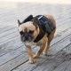 thumbnail image 5 of Mochila para perros con arnés de camuflaje para mascotas, bolsa de sillín, bolsa de viaje para bocadillos para perros pequeños y medianos, 5 of 5