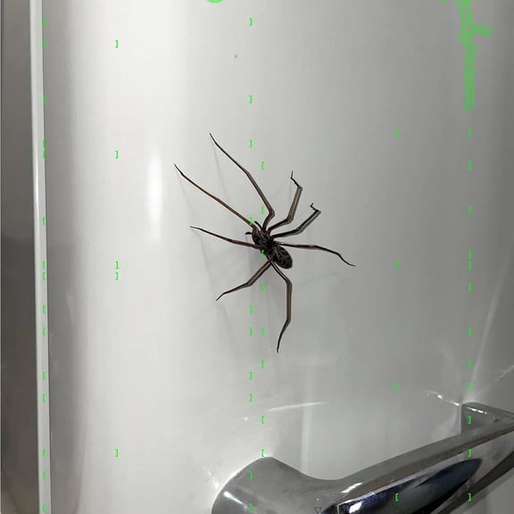 Realistic 3D Magnetic Spiders Refrigerator Sticker, Decoration for Refrigerator Car April Fools’ Pranks Garage Door Removeable Strong Fridge Magnet for Indoor Outdoor Decor Magnet Spiders