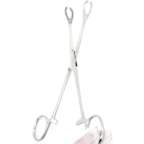 Alicates de acero inoxidable de boca redonda cerrada, alicates de boca redonda abierta, herramienta para perforaciones corporales