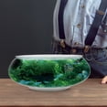 thumbnail image 4 of Miangastore 2pcs Desktop Small Fish Tank Fish Bowl Transparent Round Aquarium Tank Bowl, 4 of 9