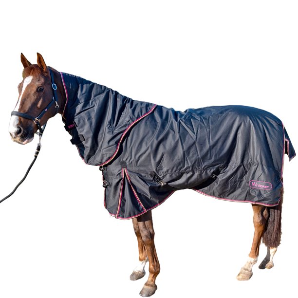 Whitaker Witton Detachable Neck Horse Turnout Rug Walmart.ca