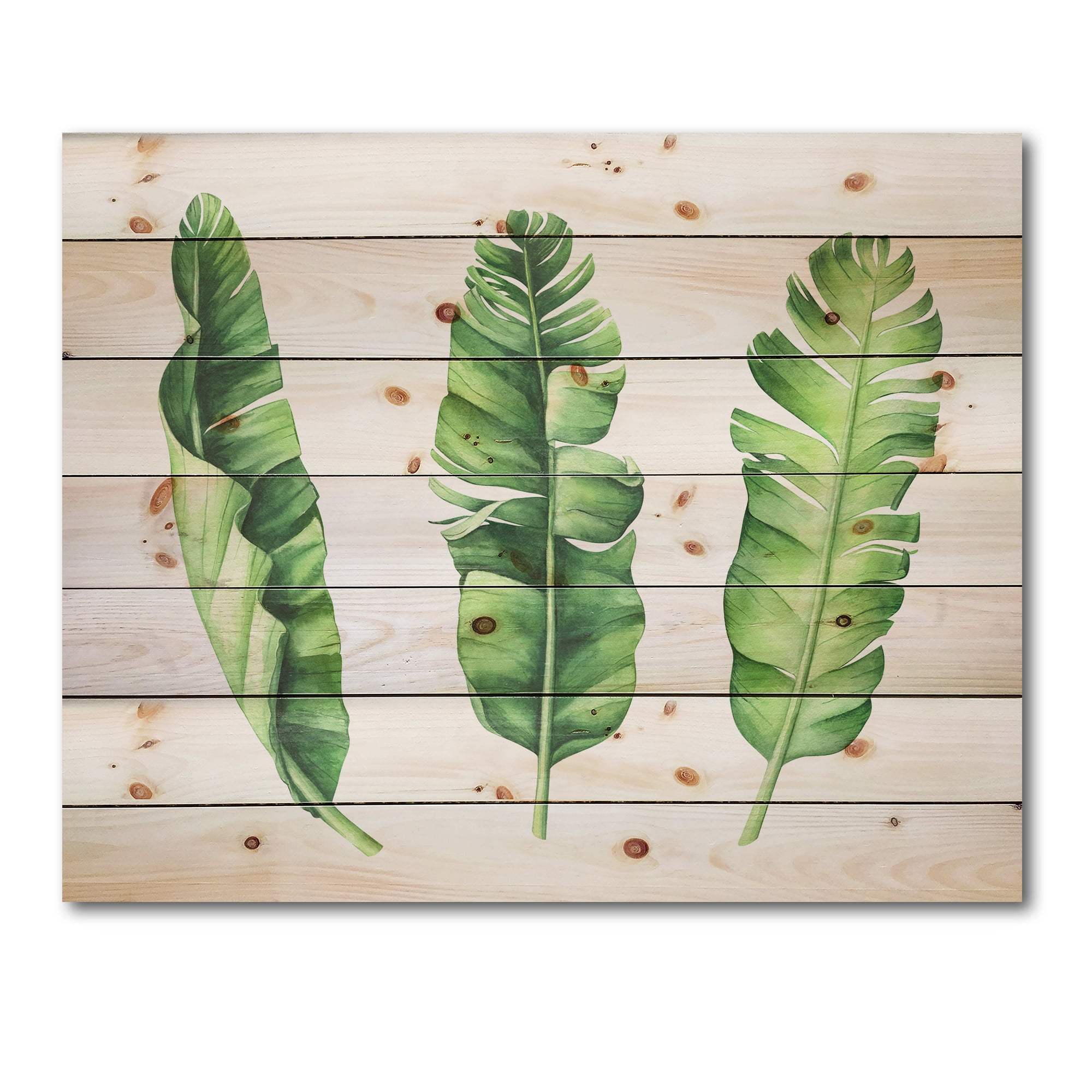 Designart 'Tropical Banana Leaves Set On White' Farmhouse Print on Natural Pine Wood