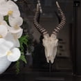 thumbnail image 2 of Ormere Polyresin Goat Head Decor, 2 of 7