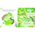thumbnail image 3 of The Woolly Bear Caterpillar, 3 of 4