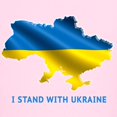 thumbnail image 3 of CafePress - I Stand With Ukraine Flag Ukrainian Pride T Shirt - Light T-Shirt Kids XS-XL, 3 of 4