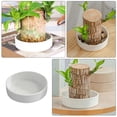 thumbnail image 2 of Zoyueyie 2pcs Durable Ceramic Flowerpot Saucer Round Plant Saucer Tray Garden Planter Case Tabletop Planter Saucer, 2 of 11