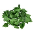 thumbnail image 1 of Simulation Grape Leaves Rattan Resuable Artificial Green Plant Vine Leaves for Ceiling Garden Swing Decorative, 1 of 7