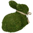 thumbnail image 4 of Northlight 11" Moss Sitting Bunny Rabbit Spring Easter Figure - Green/Tan, 4 of 7