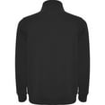 thumbnail image 2 of Roly Mens Aneto Quarter Zip Sweatshirt, 2 of 4