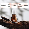 thumbnail image 3 of Ensemble de 2 Huiles Essentielles Éliminant les Odeurs (Citron + Arbre à Thé, 0.7 fl.oz), Recharges pour Diffuseur d'Huile Murale Eiffloz & Désodorisant Naturel (2x20ml Huile Essentielle, 2 Mèches), 3 of 6