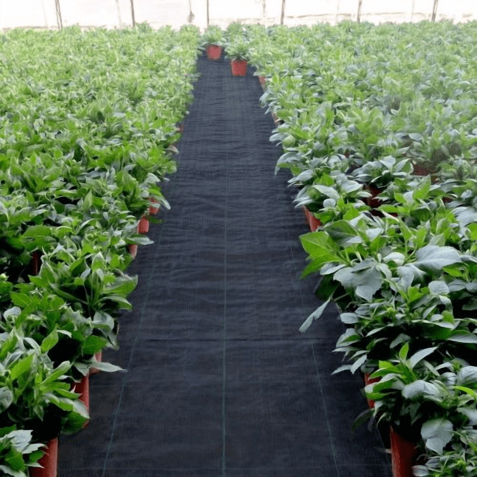 3 x 300' Ft Geotextile Fabric for Landscaping Heavy Duty Garden Weed Fabric Weed Barrier Landscape Fabric 0.9*91.4-108