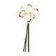 thumbnail image 2 of Cymbidium artificial hidratante, decoración realista, arreglo floral, flor falsa Blanco, 2 of 9
