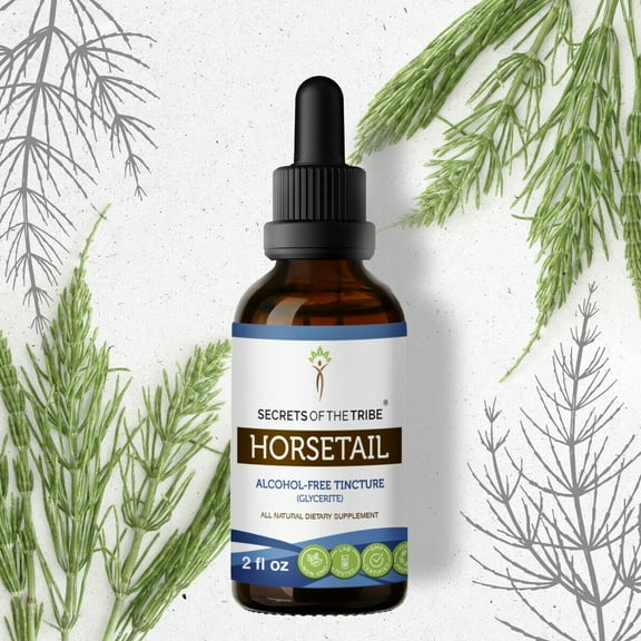 Secrets Of The Tribe Horsetail Tincture Dietary Supplement, Natural Herbal Extract for Urinary Tract Support, Horsetail (Equisetum arvense) Dried Herb, Alcohol-Free Extract, Drops 2 oz