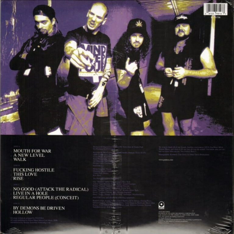 m*)様 レアカラーLP PANTERA VULGAR DISPLAY OF P Vulgar Display of Power LP - Pantera Official Store