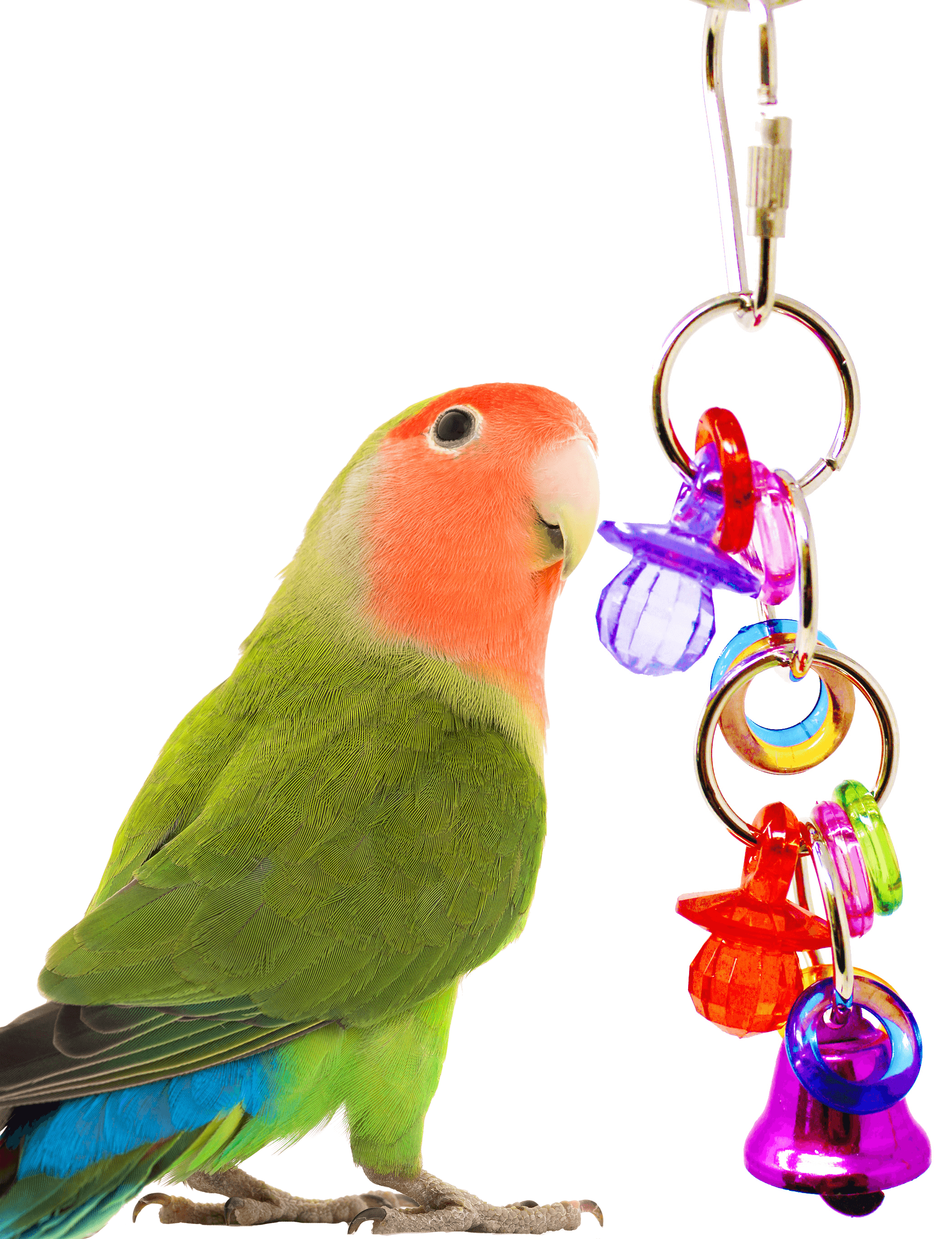 Bonka Bird Toys 1743 Tini Tingle Bird Toy.