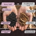 thumbnail image 3 of Seedling Seed Starter Soil - Peat-Free Organic Potting Mix for Seeds, Cuttings, Microgreens- w/Worm Castings, Root-Boosting Biochar, Less Prone to Gnats, for Germination, Propagation - 4qt, 3 of 3