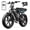 R9-Black-2*15AH-Lock, variant on TST Electric Bike for Adults, 750W Motor, 20"x4" Fat Tire E Bicycle, E Mountain Bike, 48V/15AH, Tested to UL2849 Standard by SGS