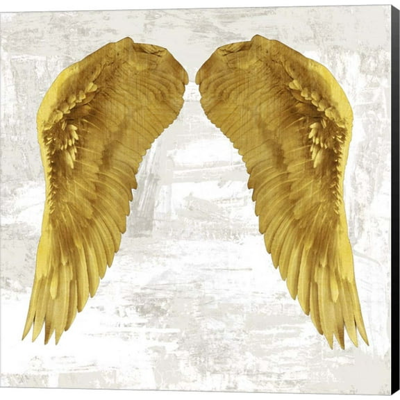 Angel Wings IV by Joannoo, Canvas Wall Art