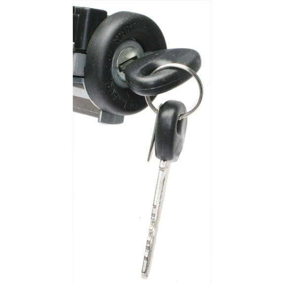 Ignition Lock Cylinder