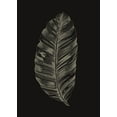 thumbnail image 2 of Design Fabrikken 14x18 Black Ornate Wood Framed with Double Matting Museum Art Print Titled - Black Leaf, 2 of 4