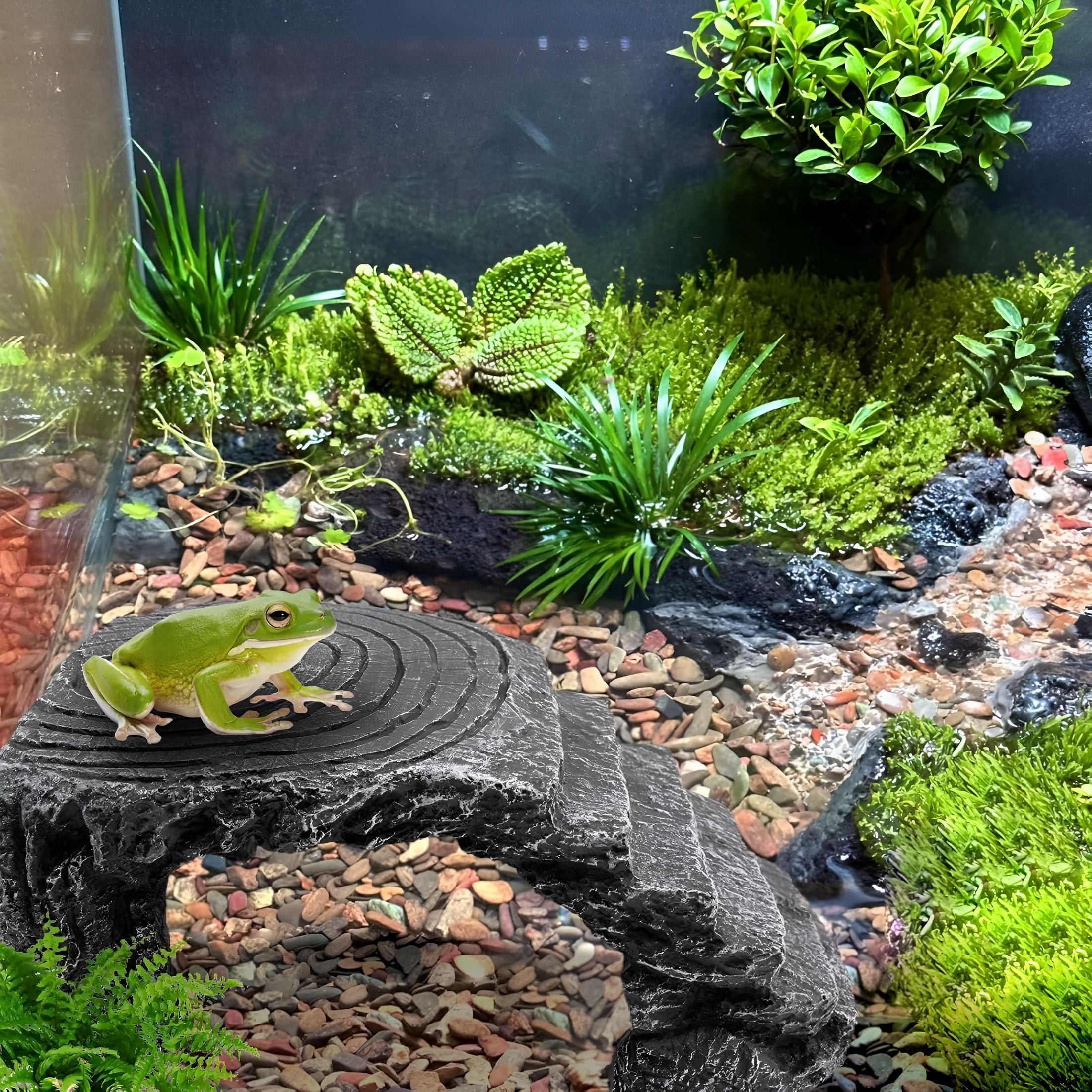 ACDANC Axolotl Cave Hides for Aquarium & Terrarium, Shelter for Pleco, Crabs, Fish, Turtles, Betta, Geckos, Frog, Resin Tank Decor