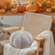 thumbnail image 4 of Uuiauoio Pumpkin Pillow Flock Material Holiday Decorative Throw for Bed Sofa Cushion Gift Soft Stuffed Realistic Design Festive Home,Halloween Pumpkins Plush Toys, 4 of 7