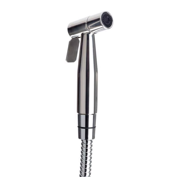 Brondell CleanSpa Luxury Stainless Steel Hand-held Bidet in Silver, All Installation Parts Included