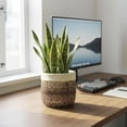 thumbnail image 3 of Ordivic 6 Inch Brown Ceramic Planter with Drainage Hole – Round Flower Pot for Succulents, Orchids, Rustic Indoor Outdoor Decor, 3 of 7