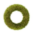 thumbnail image 1 of Vickerman FO182702 14 in. Green Grass Wreath, 1 of 1