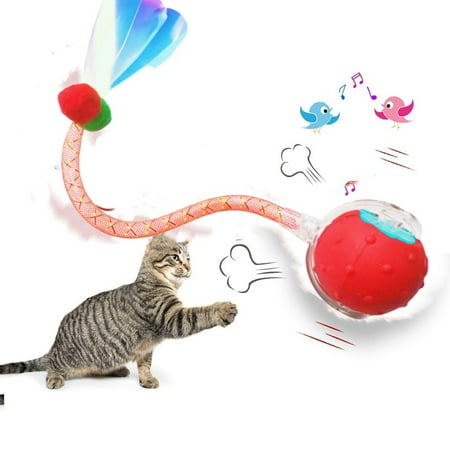 Interactive Cat Toys Ball for Indoor Cats Dragonfly Tail Electric Chirping Bird Fast Moving Rolling Ball on Carpet Chirping & Motion Activate Kitty Cat Toys (Red)