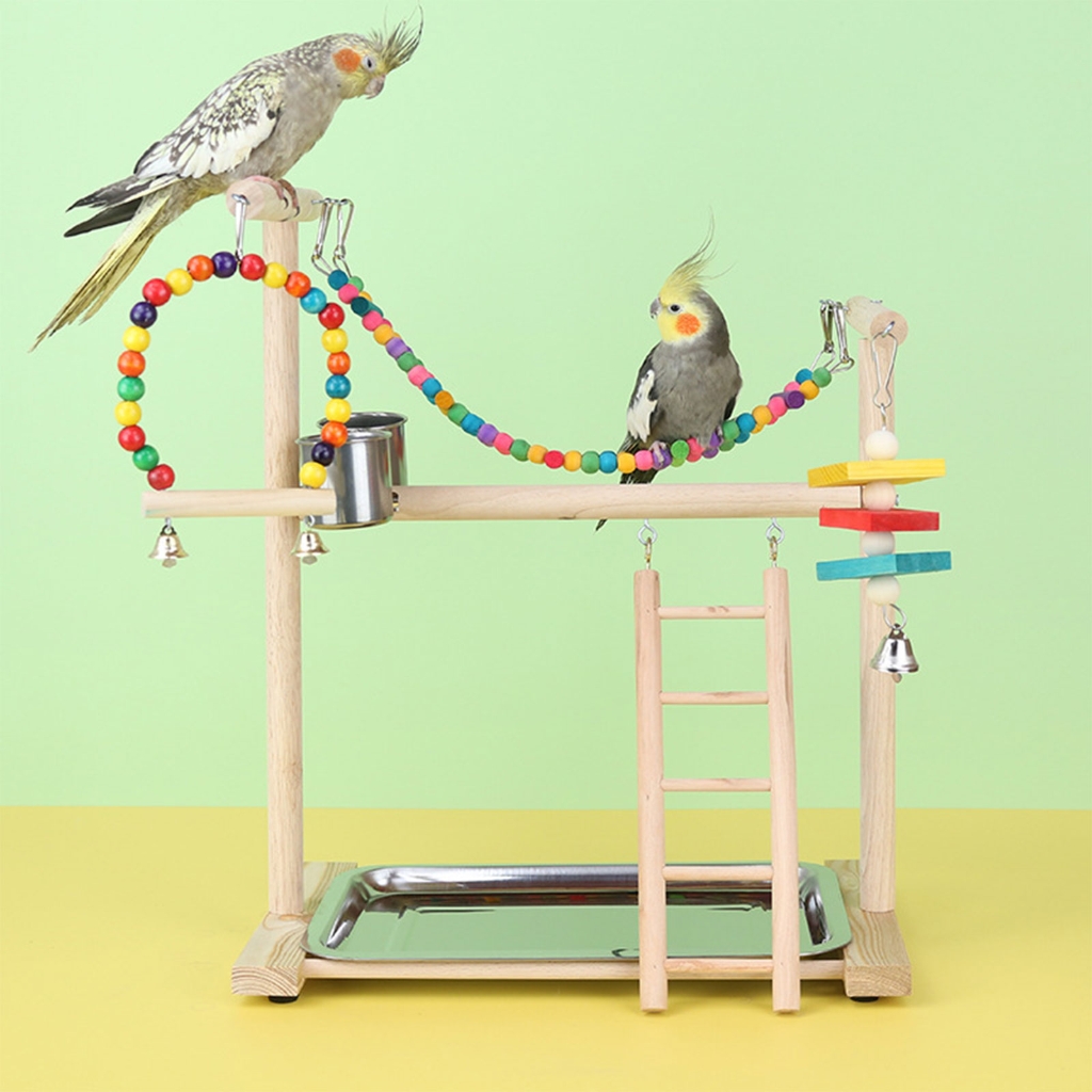 Colorful Bridge Training Bird Parrots Standing Supplies Bird Stands Toy