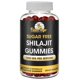 thumbnail image 1 of Suplementos Shilajit Gummies Flamingo sin azúcar, 60 gomitas, 1 of 7