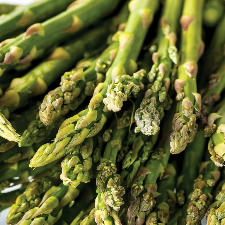 asparagus-uc-72-shk-1_grande.