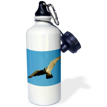 

3dRose Peregrine Falcon - Straw Water Bottle 21-ounce