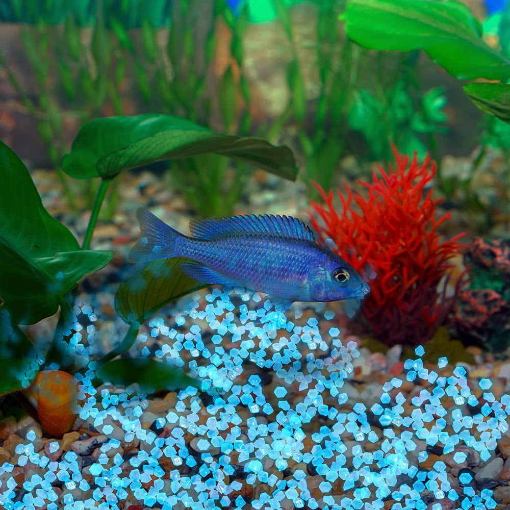 GMMGLT Fish Tank Rocks Glow Blue/Glow in The Dark Pebbles for Garden/Fish Tank/Aquarium/Plant Pots/Bonsai Walkway/Driveway 10pcs, Size: 2.2, Orange