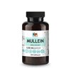 MH Research Mullein Capsules - 1200 mg, 100 Caps - Nutritional Vegan Supplement Supporting Respiratory & Digestive Function - Organic, Natural Sleep Aid - Non-GMO Verbascum Densiflorum Herba