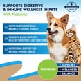 thumbnail image 3 of Natural Digestive Support for Dogs & Cats – Herbal Blend with Probiotics – Supports Normal Gut & Flora Balance – Daily Wellness Formula, 3 of 7