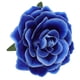 thumbnail image 1 of 0, 1 of 5