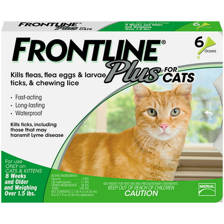 FRONTLINE Plus for Cats and Kittens (1.5 lbs and over) Flea and Tick Treatment, 6 (Best Treatment For Flea Bites)