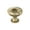 Golden Champagne, variant on Amerock Edona 1-1/4 inch (32mm) Diameter Champagne Bronze Cabinet Knob - 10 Pack