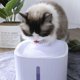 thumbnail image 2 of Fuente para gatos, dispensador de agua para gatos, bebedero circulante para perros y filtros, dispensadores de agua silenciosos para perros, fuente de agua para gatos, comedero, con luz, color blanc, 2 of 5