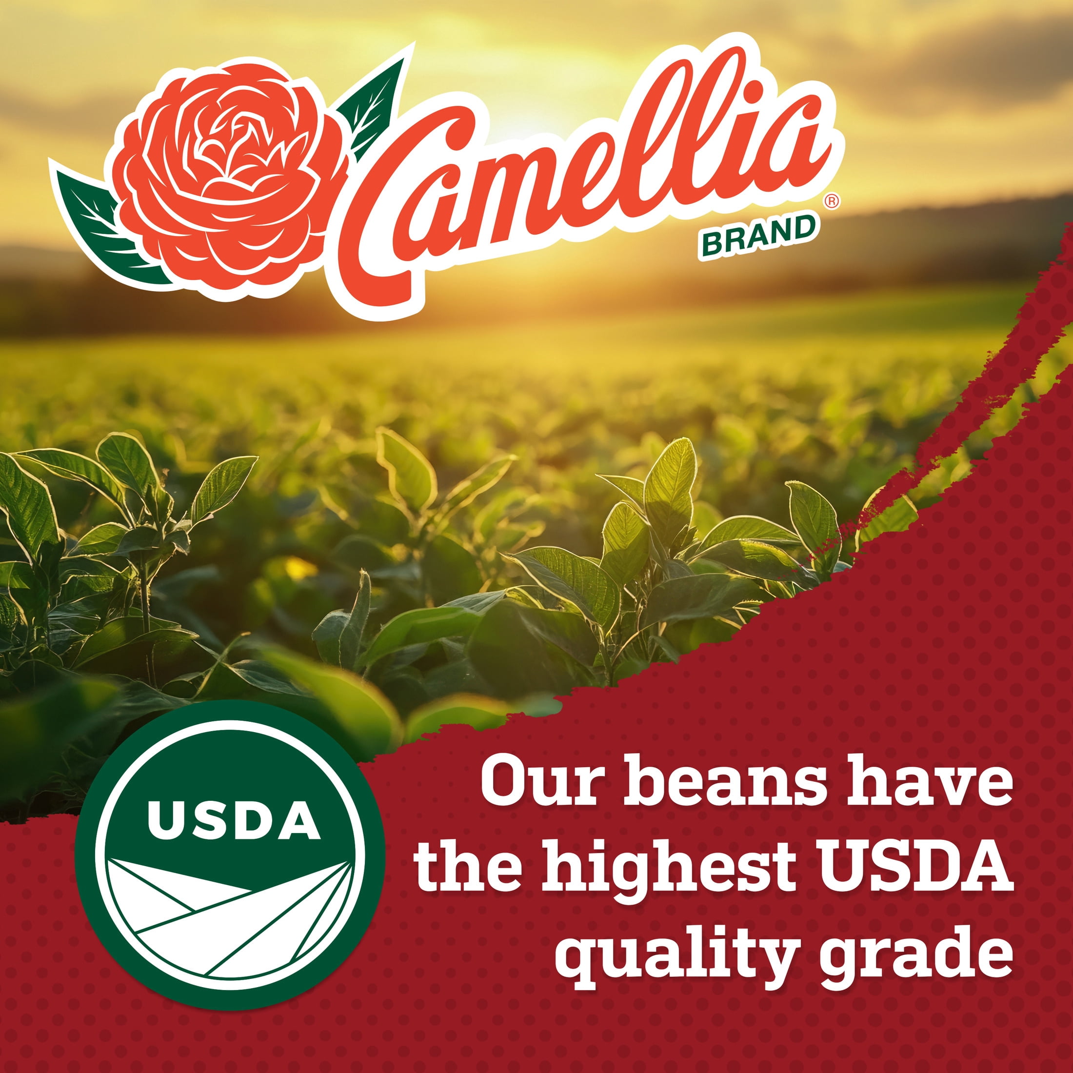 Camellia Brand Great Northerns 1 lb