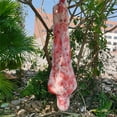 thumbnail image 4 of Maojin Halloween Decoration Halloween Indoor Outdoor Indoor Props Scary Dead Dead Body Fake Spider- Web With Spider Haunted House Tree Hanging Decoration, 4 of 9