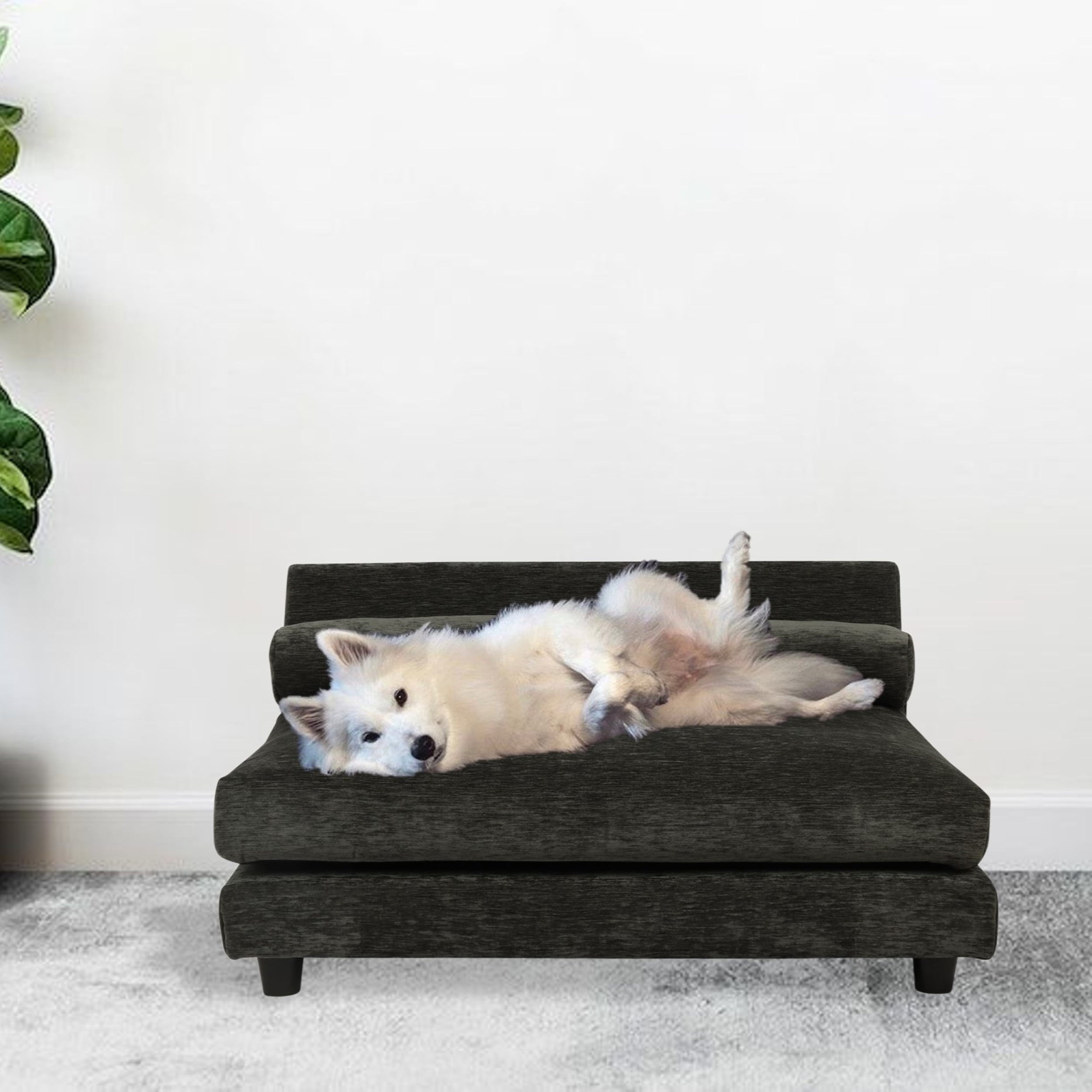 Club Nine Pets Roma Orthopedic Dog Bed, Elevated, Medium, Charcoal.