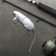 thumbnail image 2 of Swimbait Crankbait Simulación La Pesca Del Ratón Señuelo Cebo Rata Artificial Señora Pesa Señuelos, 2 of 9